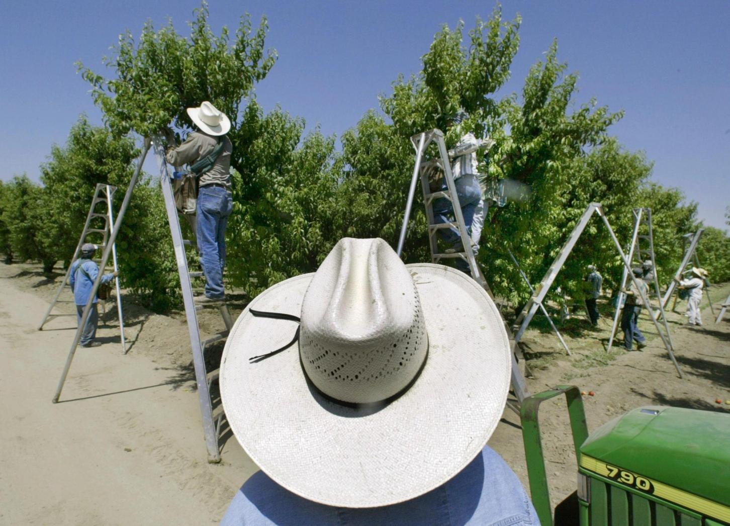 Agriculture pesticide caused kids’ brain damage, California lawsuits say