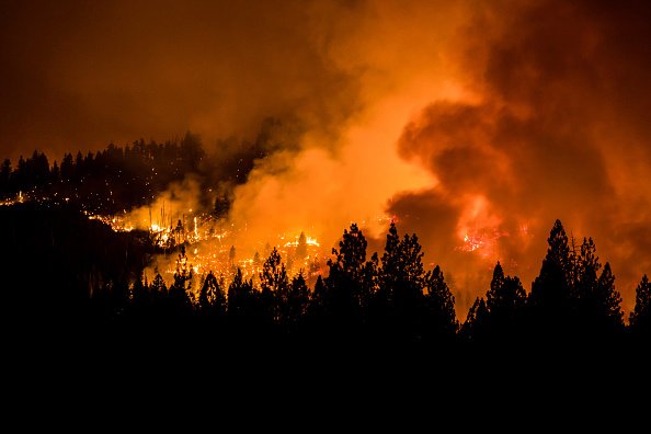 Two Tree-Sparked Fires Prompt PG&E to Vow Faster Response Times