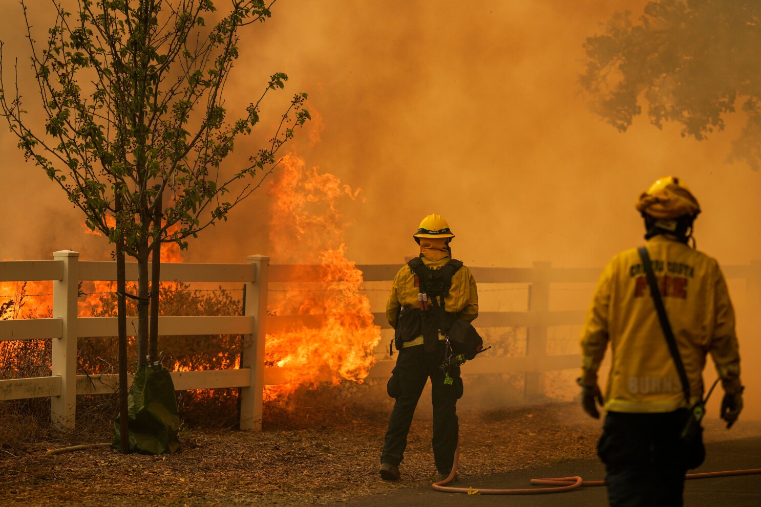 Firefighters Knock Down Multiple Small Brush Fires in San Jose