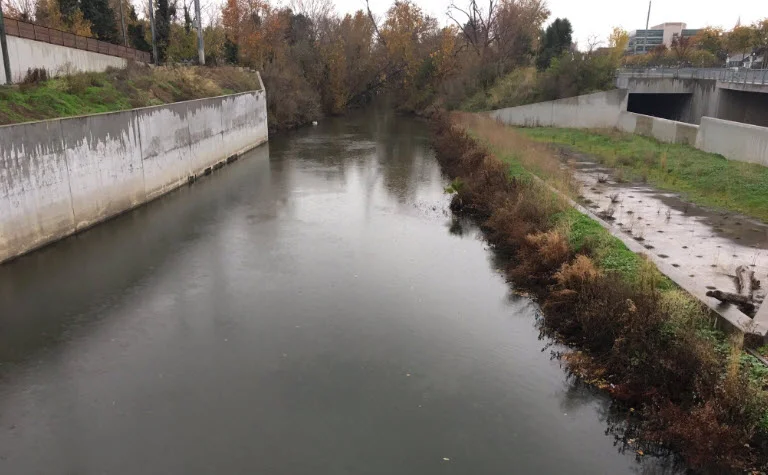 Baykeeper Sues Santa Clara Valley Water Claiming Practices That Are ‘Fatal to Fish’