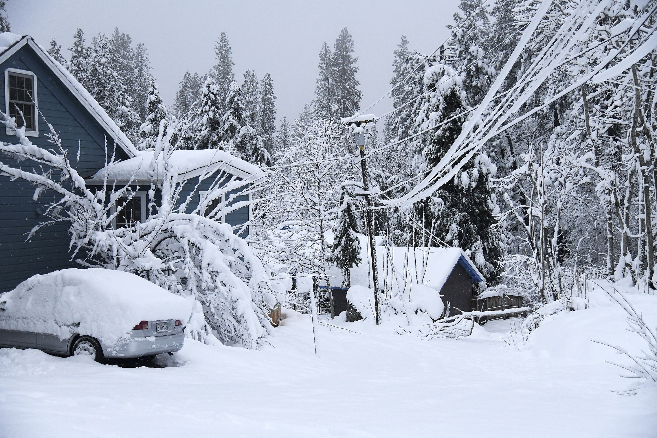UC Berkeley Snow Lab Detected Over 8 Inches of Snow in Sierra Nevada This Weekend