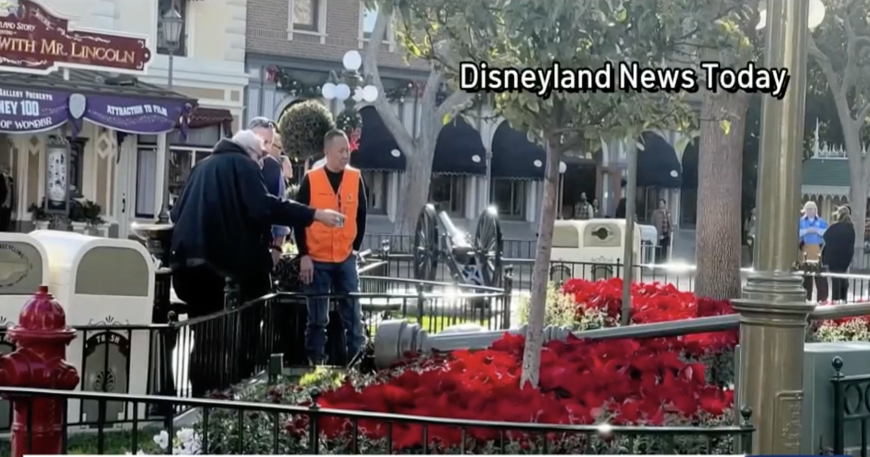 Disneyland visitors injured when strong winds knock down light pole