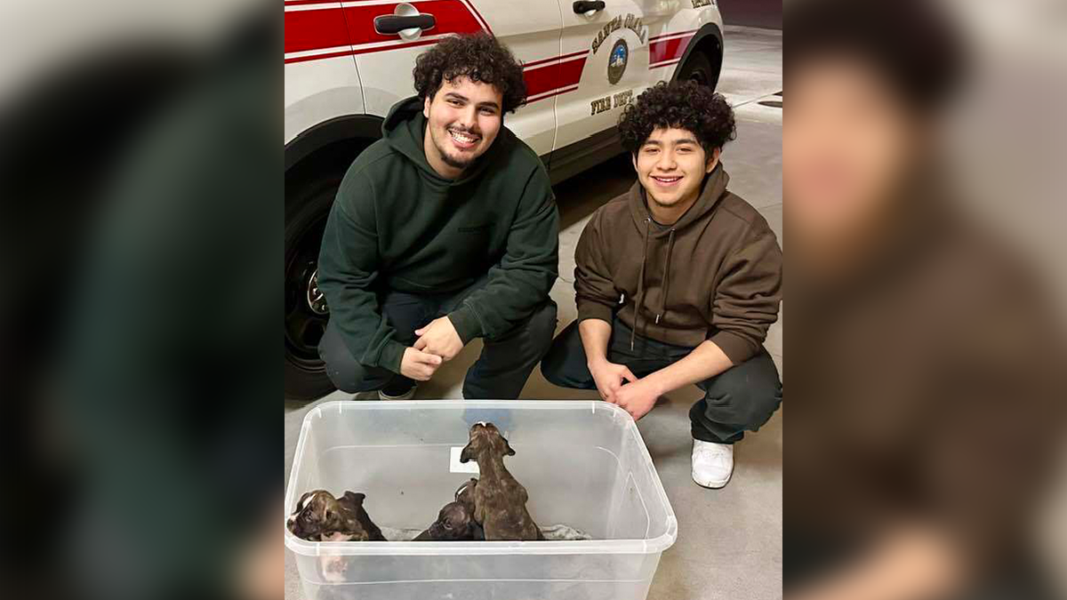 Young men praised for saving puppies abandoned on Santa Clara road