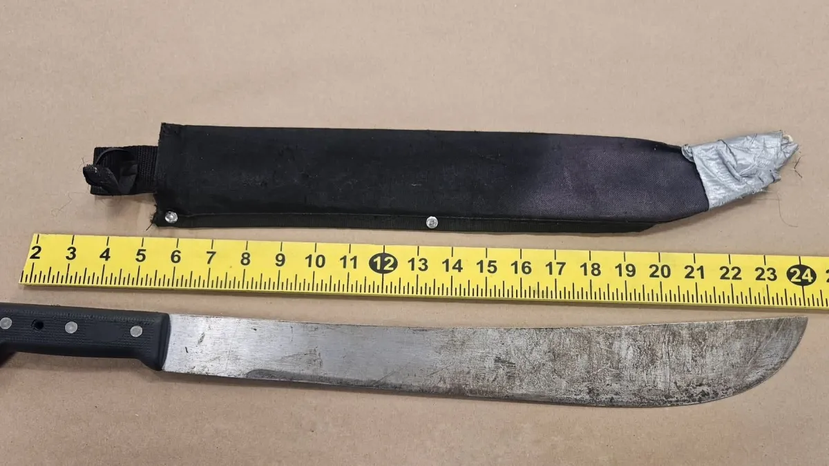 Machete-armed man arrested after allegedly assaulting juvenile in Sunnyvale